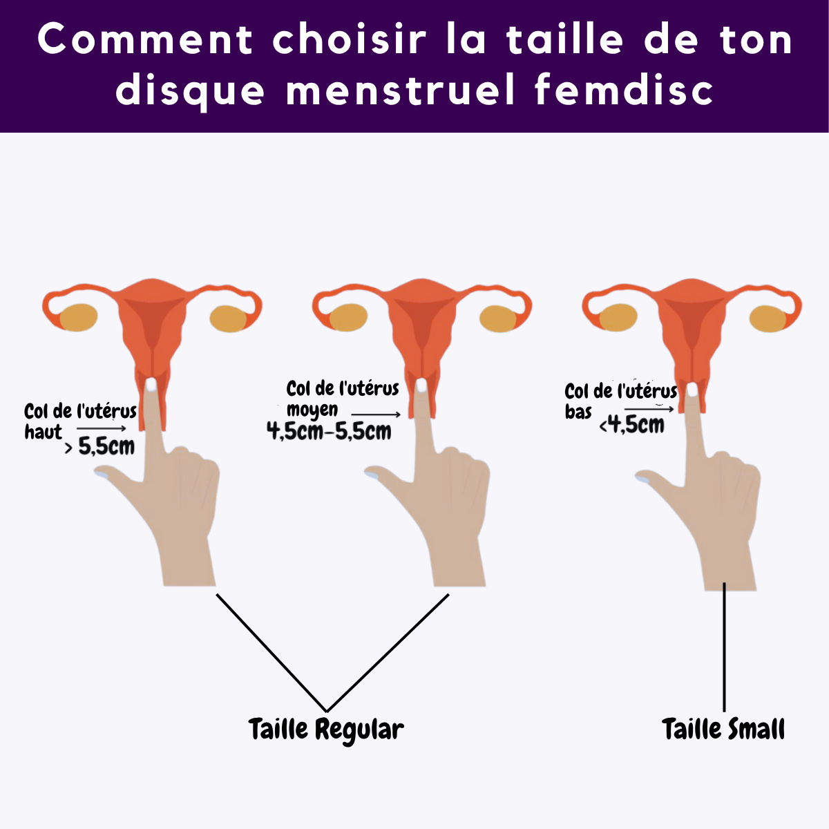 femdisc avec languette